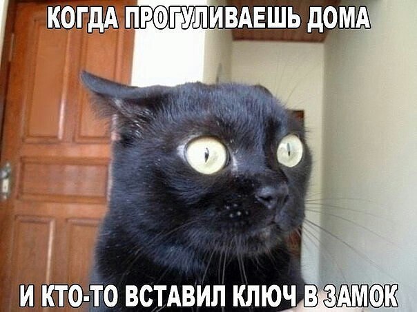    ? # #u - 6