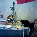 ���� ������, �����, 44 ���� - ��������� 2 ������ 2018 � ������ ������ ��������