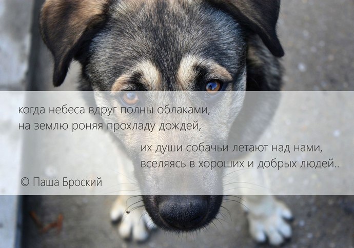 ***Victoria Viktorovna*** - 21 ������ 2018 � 07:28