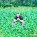 ���� ������, �����-���������, 52 ���� - ��������� 29 ������ 2017