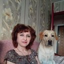 ���� ������, �������, 62 ���� - ��������� 8 ��� 2018 � ������ ���� ����������