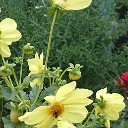  ,  , 44  -  10  2018