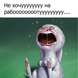 ���� �������, ������, 43 ���� - ��������� 3 ������� 2017