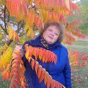 ���� ����, ������ - ��������� 22 ������� 2017 � ������ ���� ����������