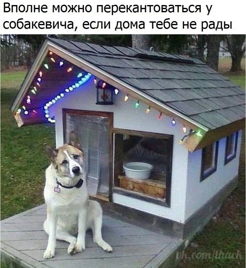  - 24  2017  03:57