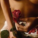 ���� ��������, ������, 49 ��� - ��������� 27 ����� 2018 � ������ ������ ��������