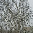 ���� ����, ������, 41 ��� - ��������� 3 ���� 2018 � ������ ���� ����������