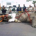 ���� ��, ������, 67 ��� - ��������� 16 ���� 2018