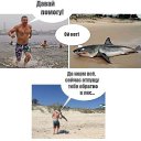  Dimaristry, , 44  -  15  2018    