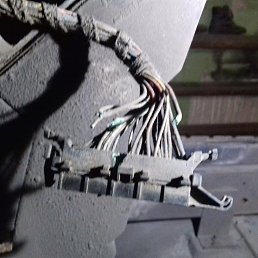 ���� Igor, ������, 47 ��� - ��������� 21 ������ 2017