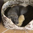 ���� �������� ������, ������, 56 ��� - ��������� 5 ���� 2018 � ������ �����