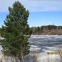 ���� ��������, �����������, 41 ��� - ��������� 23 ��� 2018 � ������ ���� ����������