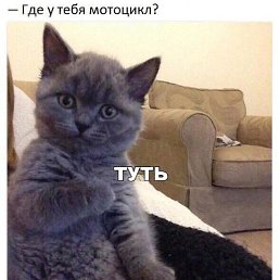 �, ����, 47 ���