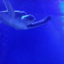 ������� ���������,��������!!!!