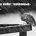 ���� �a����, �������, 31 ��� - ��������� 9 ������ 2018 � ������ ���� ����������