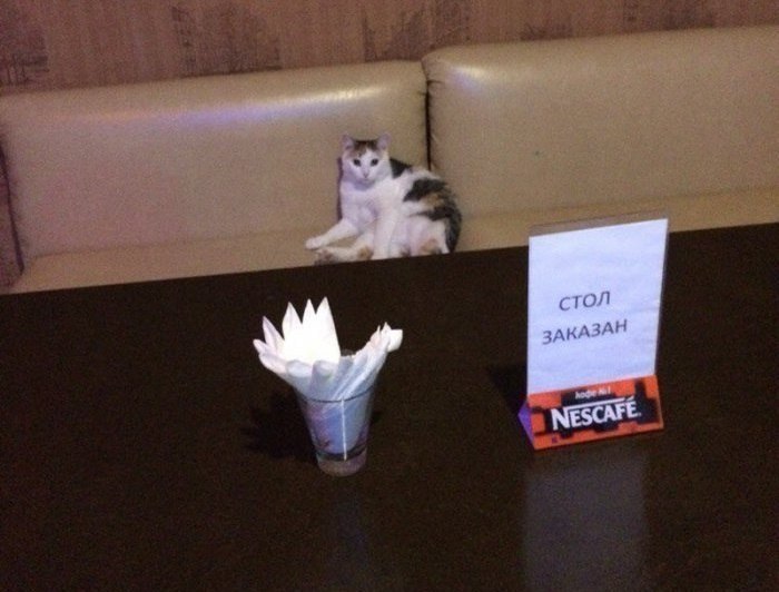 VIP-