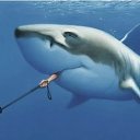 ���� �����, ��������, 59 ��� - ��������� 13 ������ 2018 � ������ ������ ��������