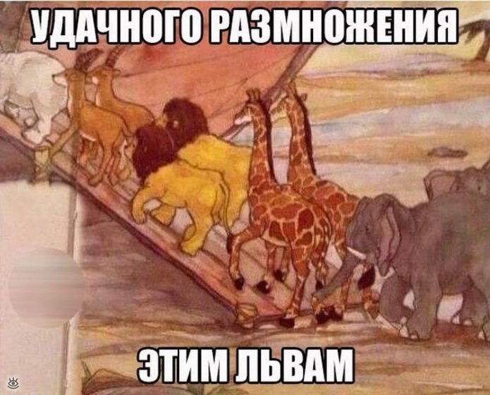   - 4  2018  22:07