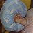 ���� Denis T., ����������, 45 ��� - ��������� 24 ������� 2017