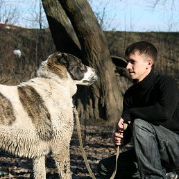 �����, ����������, 40 ���