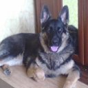 ���� ���������, ������� �����, 45 ��� - ��������� 18 ���� 2018 � ������ ���� ����������