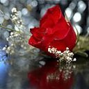 ���� 165656, �������, 37 ��� - ��������� 23 ��� 2018 � ������ ���