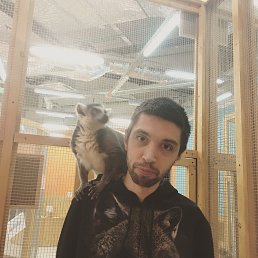 �������, ������