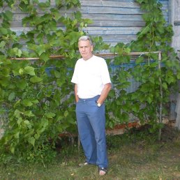 ���������, ���