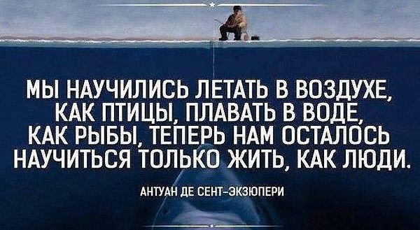 ���� - 27 ������� 2017 � 22:22