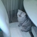 �������� ������! �� ������� ���� ����������