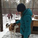 ���� ����, ��������, 44 ���� - ��������� 15 ����� 2018 � ������ ���� ����������