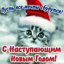 ���� �������..., �����-��������� - ��������� 31 ������� 2017 � ������ ������ ��������