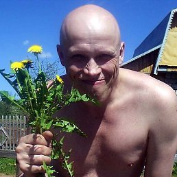 �������, ���, 46 ���