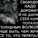 ���� Alekcandr, ������ - ��������� 22 ��� 2018 � ������ �������� ��������