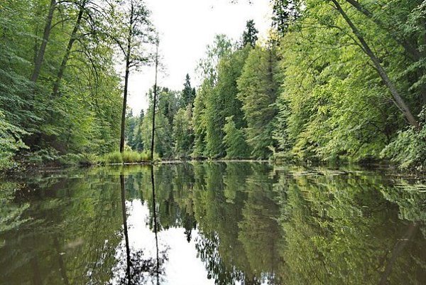 ���������� ������. ................... - 8