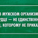 ���� ������, ����������, 46 ��� - ��������� 23 ��� 2018 � ������ ������ ��������