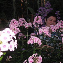 ���� ������, ����, 56 ��� - ��������� 29 ������� 2017