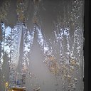 ���� �������, �������� - ��������� 25 ������ 2018 � ������ ���� ����������