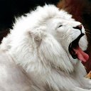 ���� Ded, ������, 59 ��� - ��������� 2 ������ 2018 � ������ ���� ����������