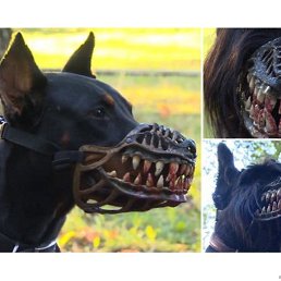 �����, ���������, 32 ����