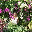 ���� ��� ���������, ���, 42 ���� - ��������� 30 ������ 2017 � ������ ���� ����������