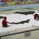 ���� ������, ������ ��������, 65 ��� - ��������� 20 ������� 2017 � ������ ���� ����������