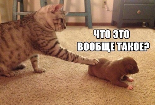 ���� �� ������� �����������, ��� ���� ���������� �� �������� ��������������, �� ��� ����� �������� ... - 5