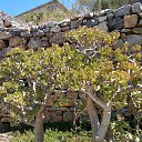 ���� ������, ������, 46 ��� - ��������� 4 ���� 2018 � ������ ���� ����������