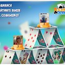 ���� Peter, ��������� - ��������� 28 ������� 2018 � ������ �������� �������-�������