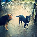 ���� ���������, ���������, 33 ���� - ��������� 4 ������ 2018 � ������ ���� ����������