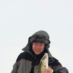 ���� ��������, ��������, 42 ���� - ��������� 4 ������� 2017