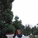 ���� �����, �������� - ��������� 22 ����� 2018 � ������ ���� ����������