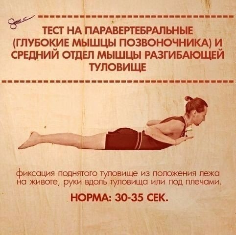 ТЕСТЫ НА ФУНКЦИОНАЛЬНУЮ СЛАБОСТЬ МЫШЦ. Тело нетренированного (а часто и тренированного) человека ... - 5