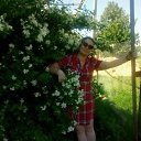 ���� ����, ������ - ��������� 1 ���� 2018 � ������ ���� ����������